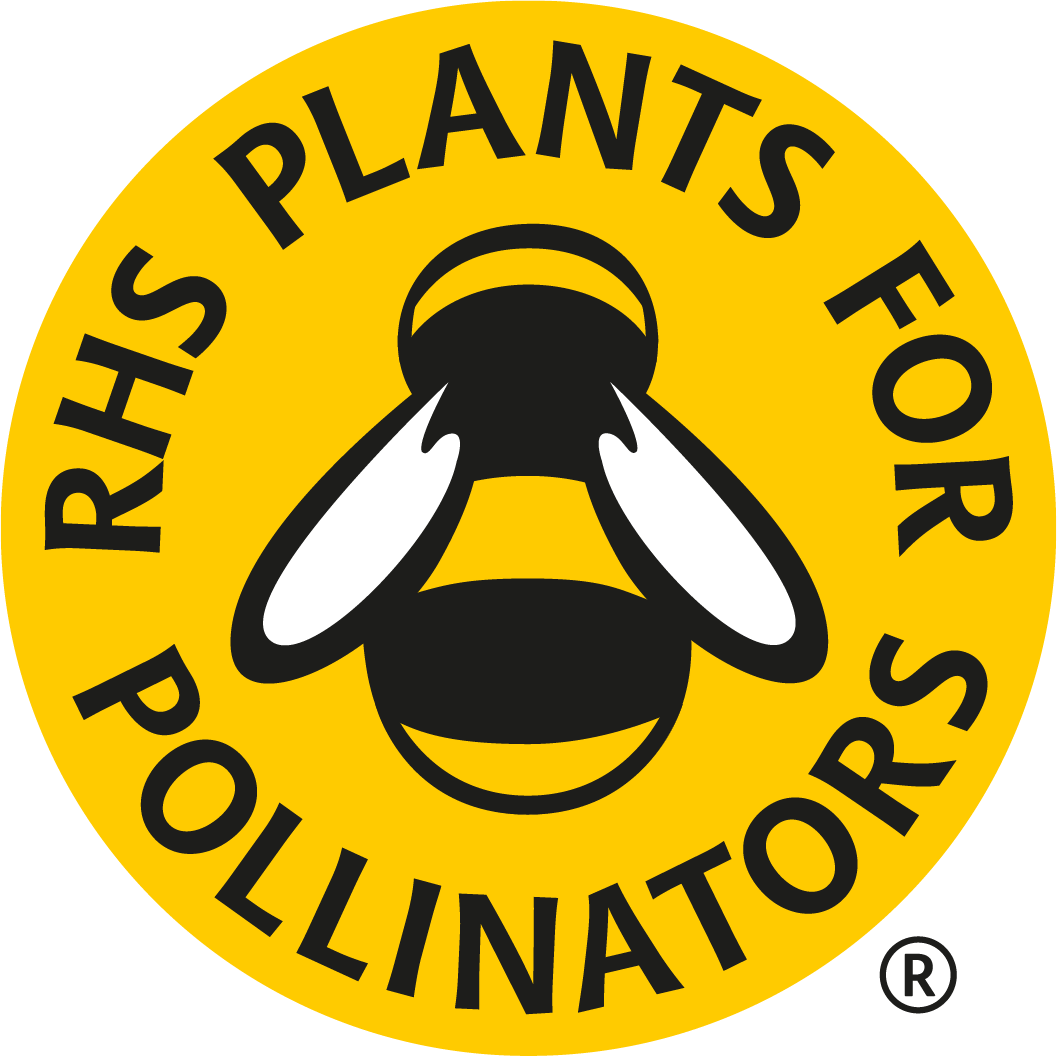 Spring Project Logo Pollinators Geranium sanguineum 'Frivolius Pink' • The Hardy Geranium Nursery